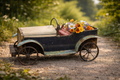 IRON VINTAGE CAR